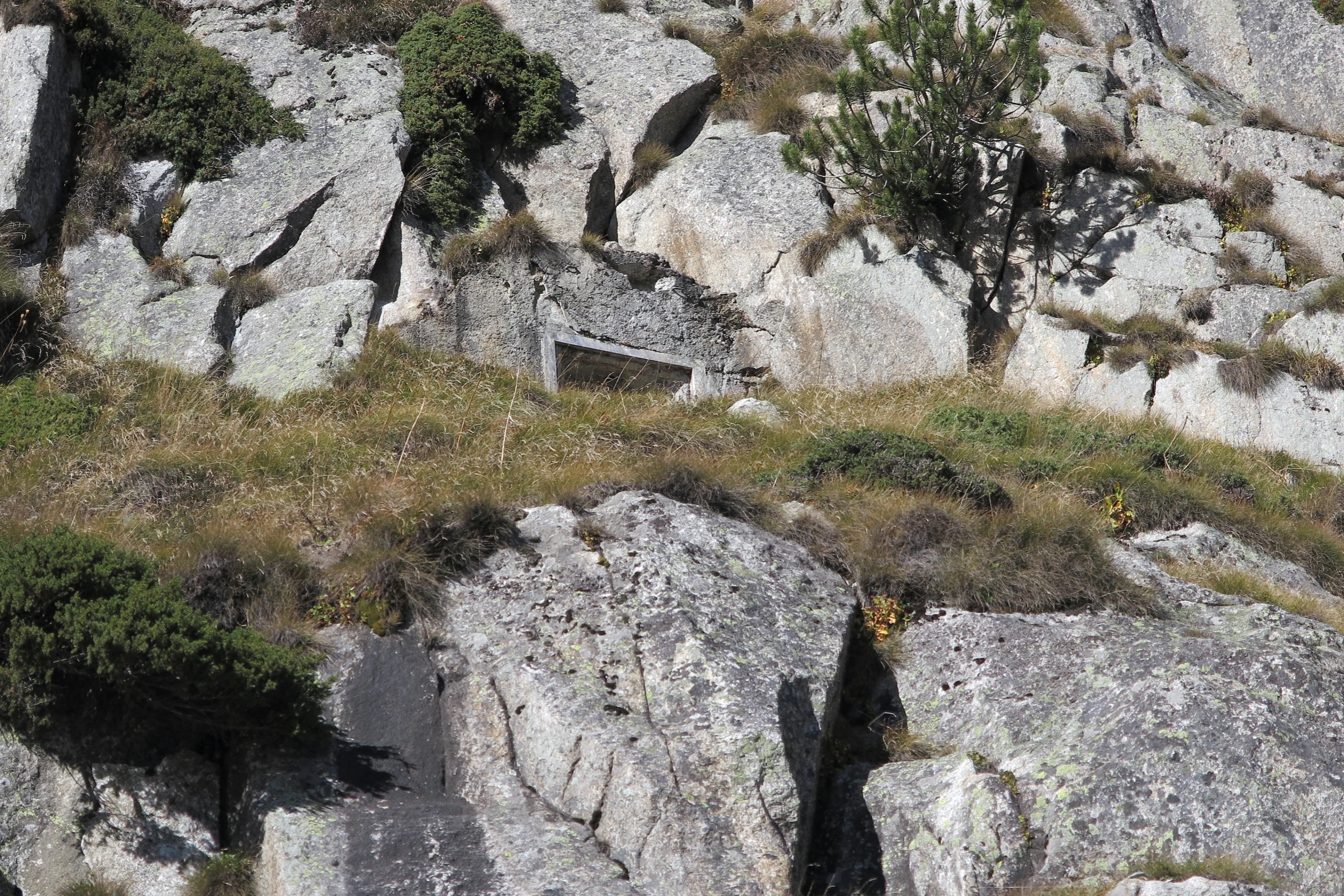 a rocky mountain has some plants growing out of it