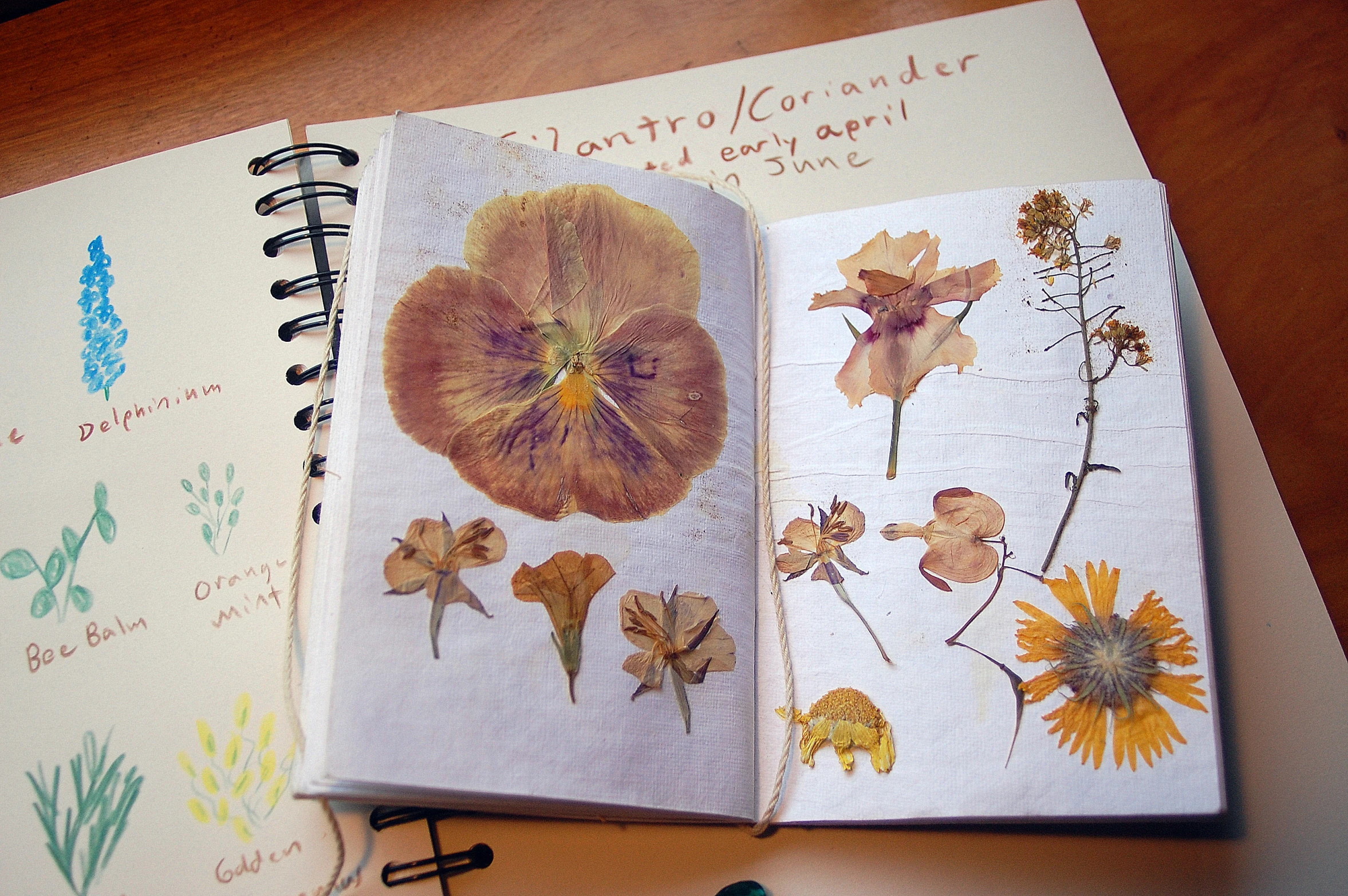 an opened notebook that shows the inside of flowers