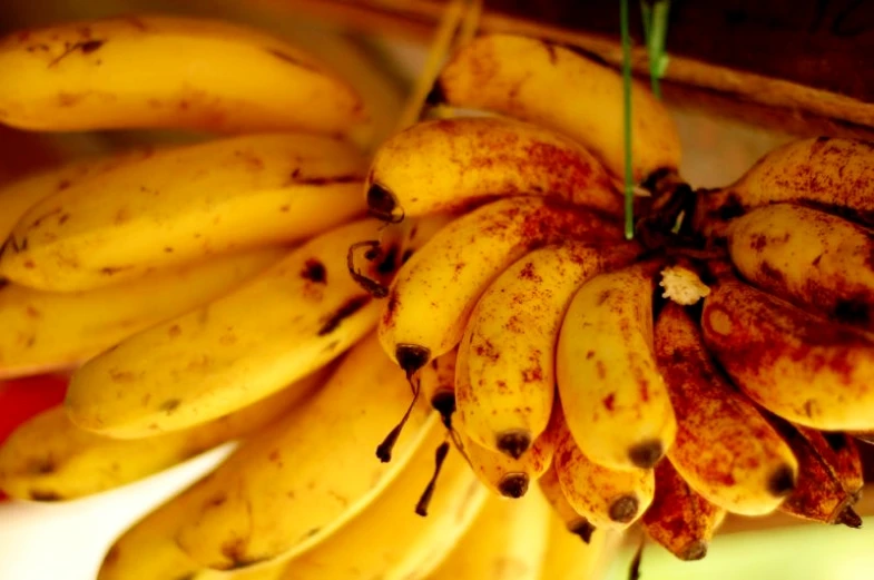 the group of bananas are hanging up on a string