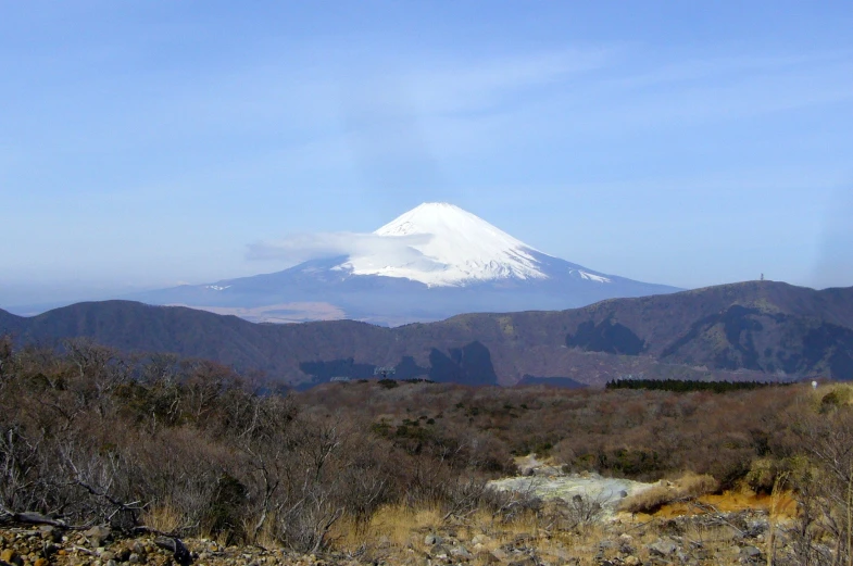 a view of a snow covered mountain from an area with shrubs