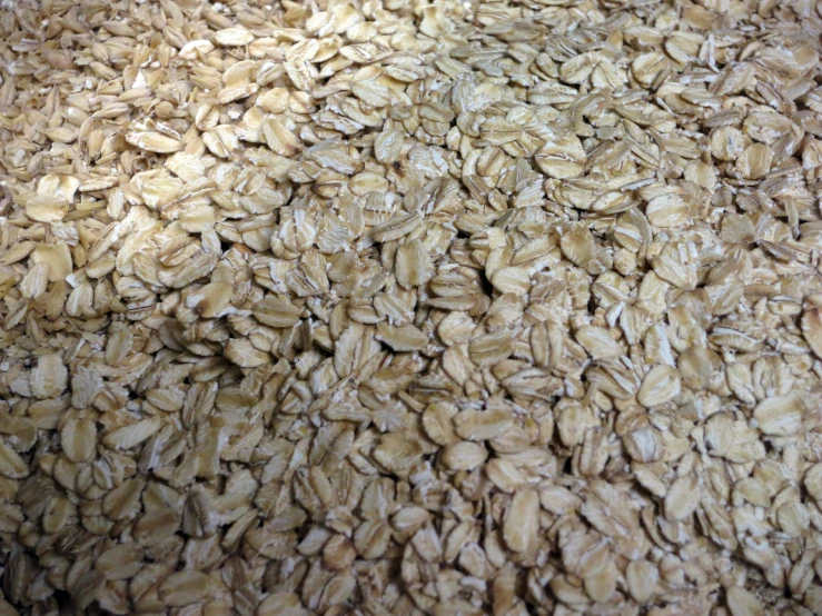 a pile of grain next to a metal spoon