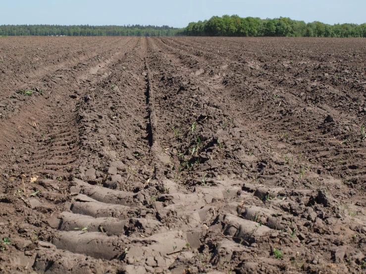 a plowed farm with many tracks in the ground