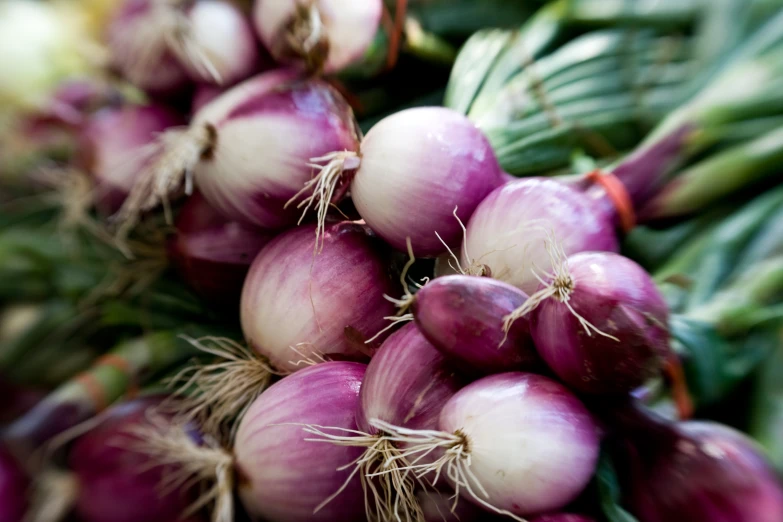 purple onions with leaves on top on the ground