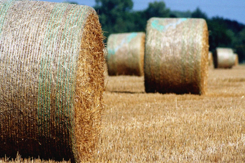 a field full of hay and straw bales in the middle of it