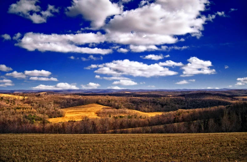 the grass has not yet been harvested yet