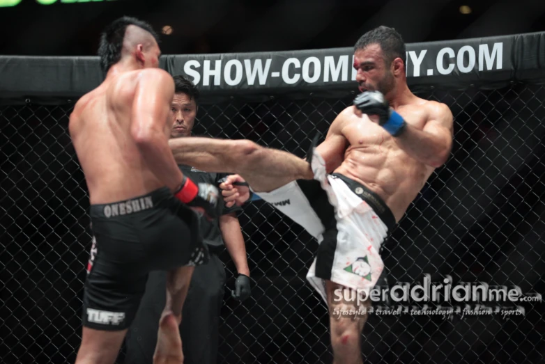 a fighter kicks a kick with his opponent in a cage