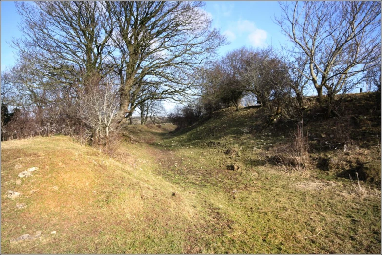 a path running along side of a lush green hillside