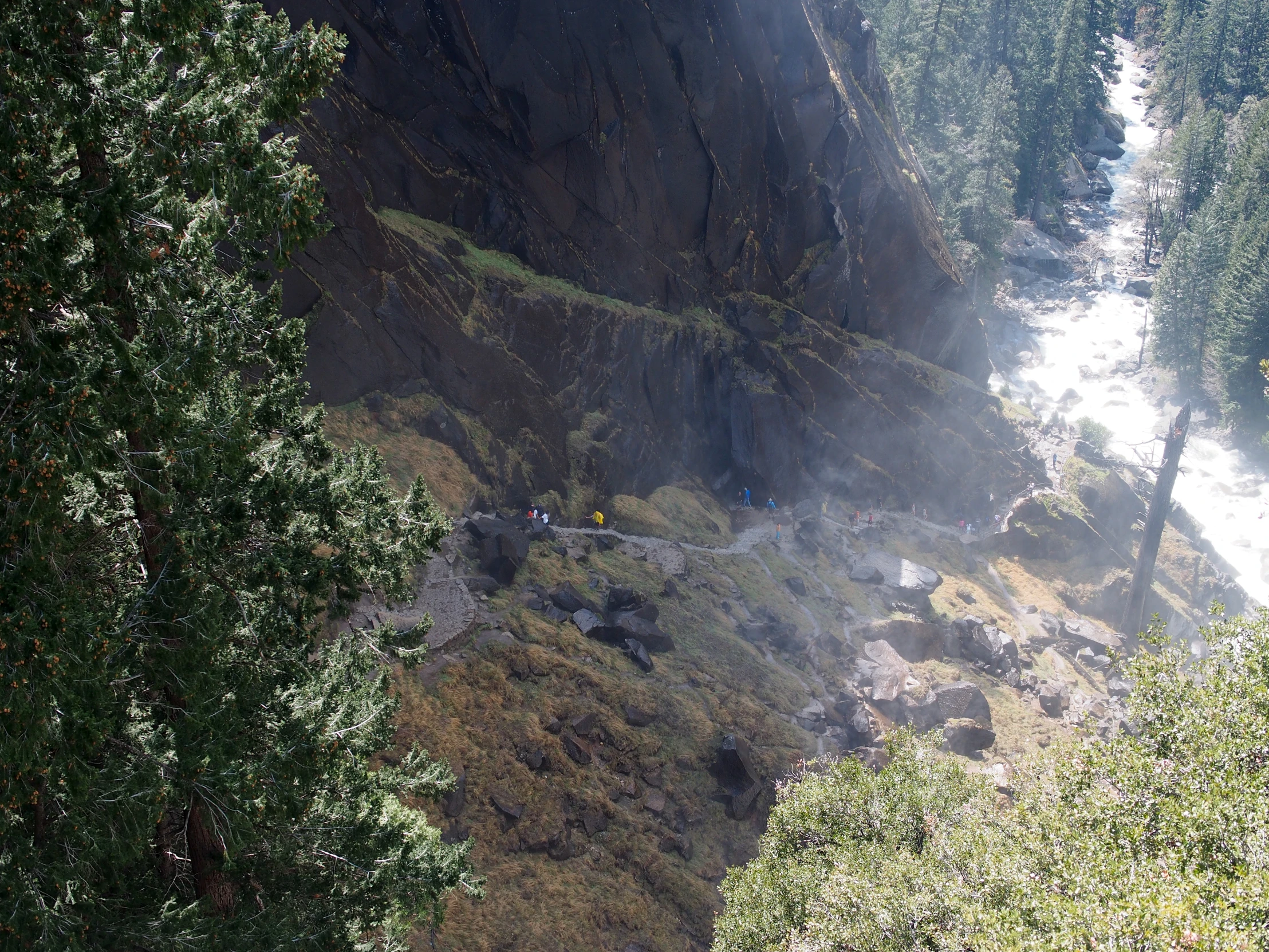 a forest with a waterfall next to it, a train tracks above the trees