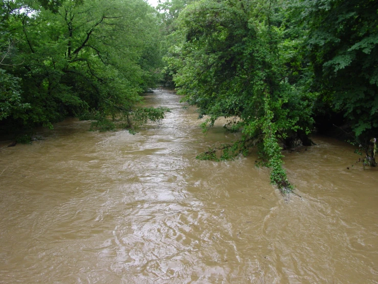 a man riding on a boat down the river