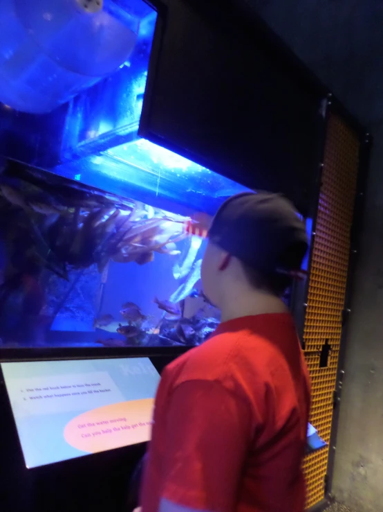 a man looking at fish inside of an aquarium