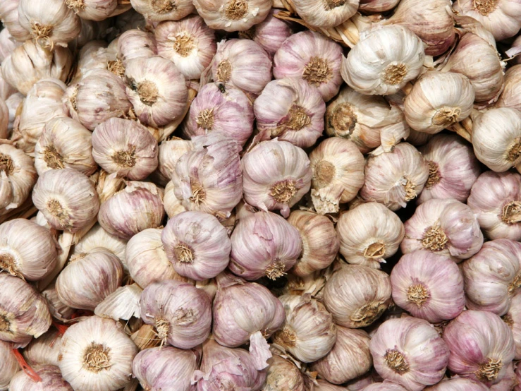 this is an image of a pile of garlic