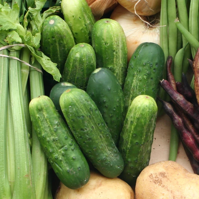 cucumbers, asparagus, onions, and green beans all on a table