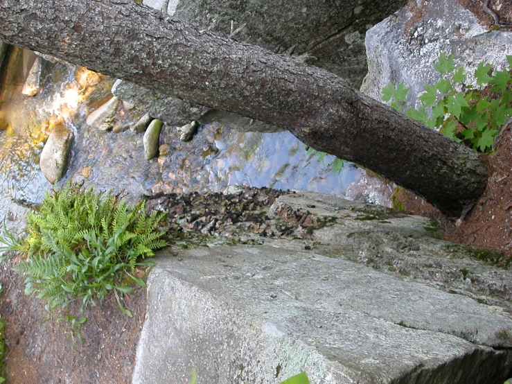 a cement bench has moss growing on the back