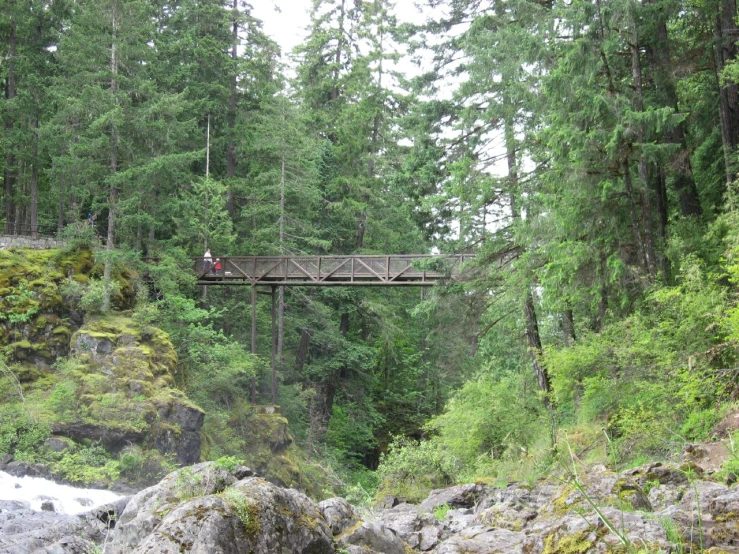 two people are walking over a bridge on a river