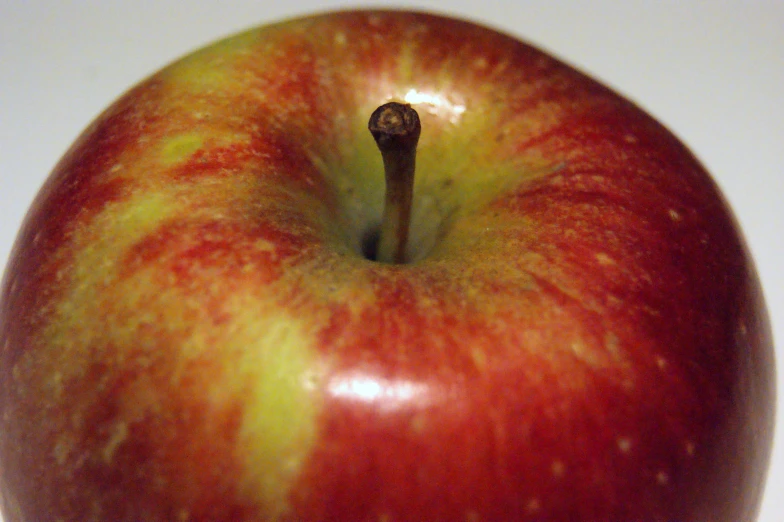 close up picture of a red and green apple