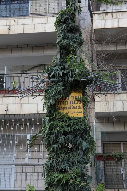 a cross made out of vines next to a building