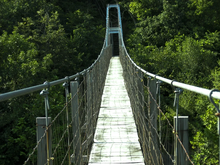 a rope bridge surrounded by green trees and bushes