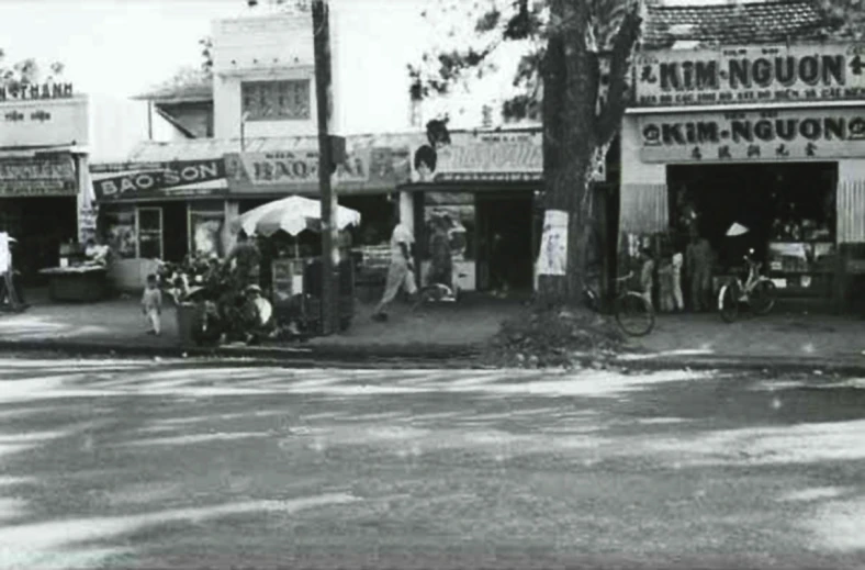 some store fronts sitting by some trees on the side of a road