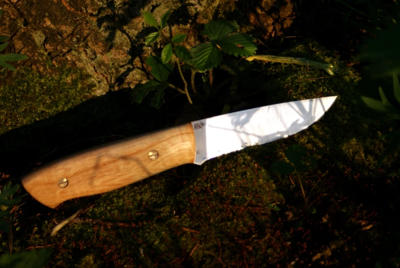 a knife stuck inside of a piece of wood