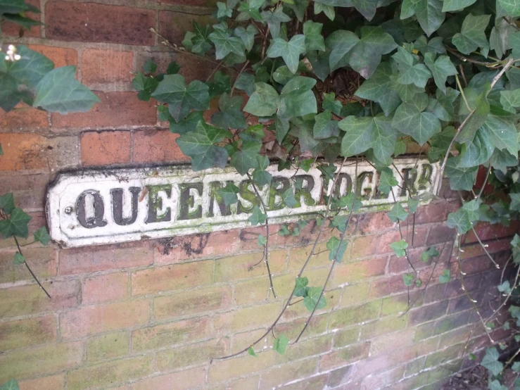 vines grow on a brick wall surrounding a street sign