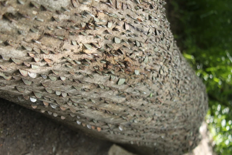 an up close picture of a stone structure