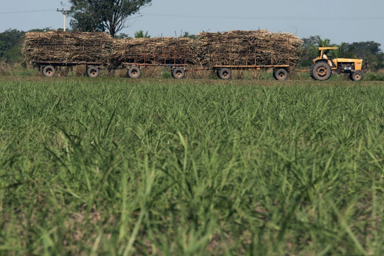 an old farm truck hauling hay in the middle of a large field