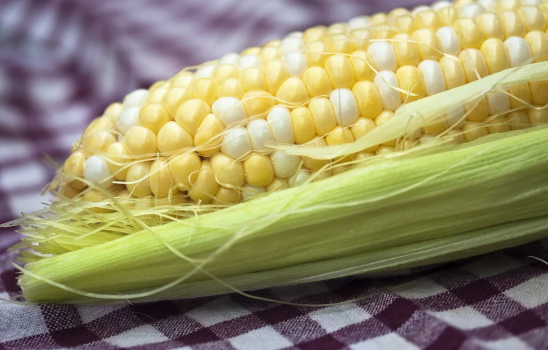 a single ear of corn with no kernel