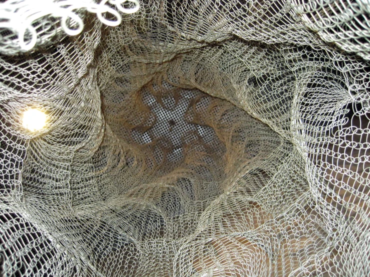 an image of some doily looking up at it