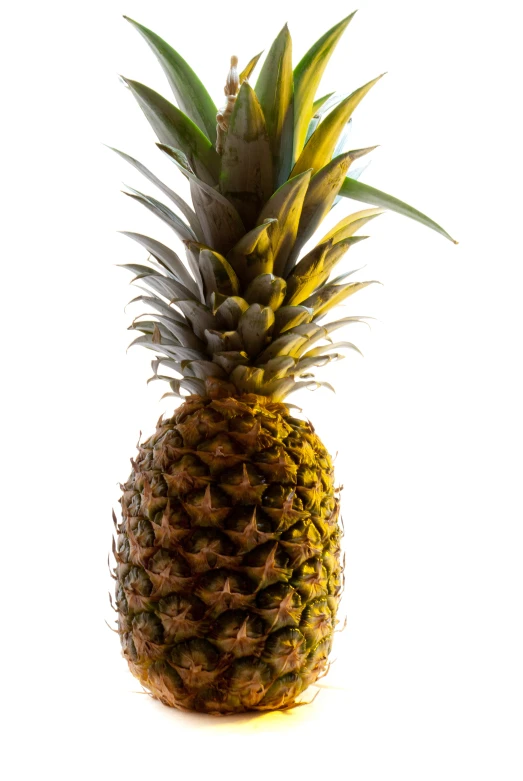 there is a pineapple with leaves and yellow tips on it