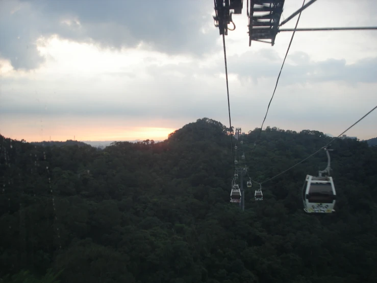 a view of two chair lift suspended over trees at sunset