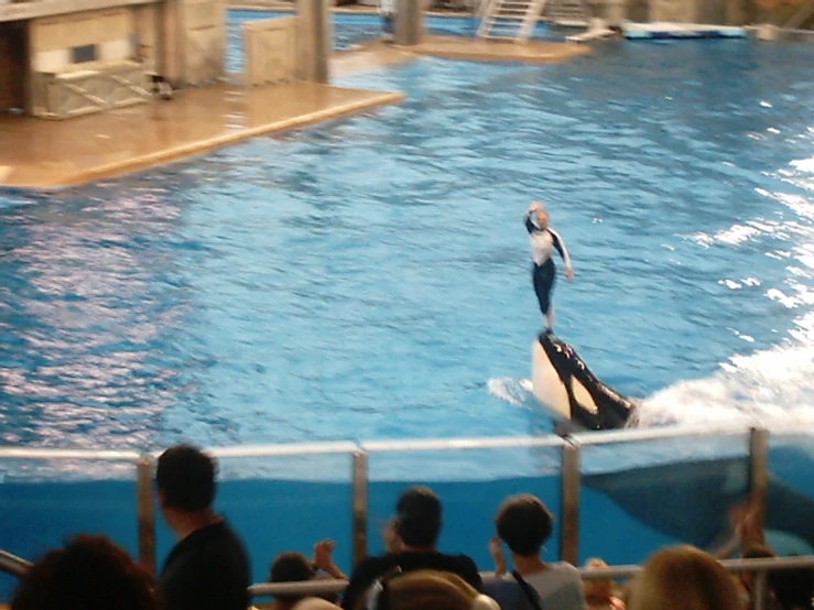 a person riding a skate board in a pool