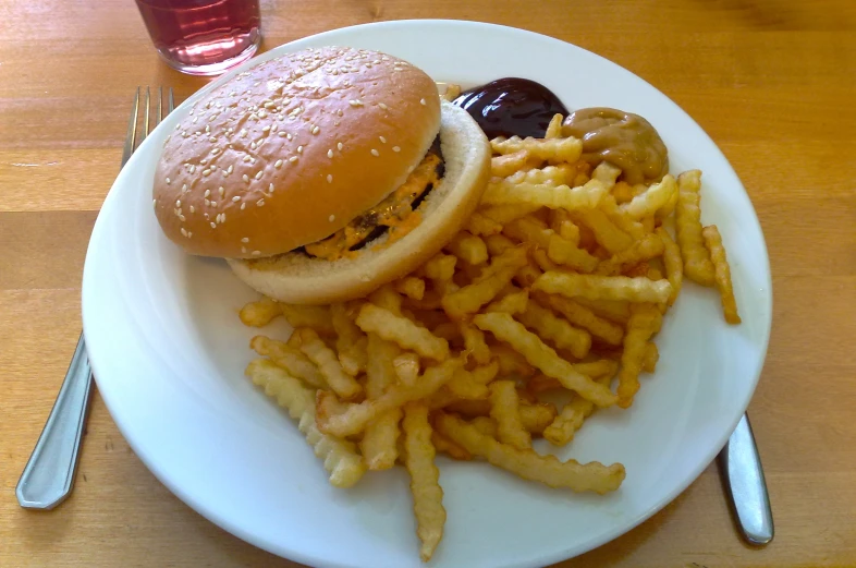 there is fries and a hamburger on this plate
