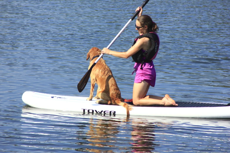 a woman paddleboarding with a brown dog on top of it