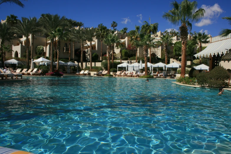 an outdoor swimming pool surrounded by palm trees