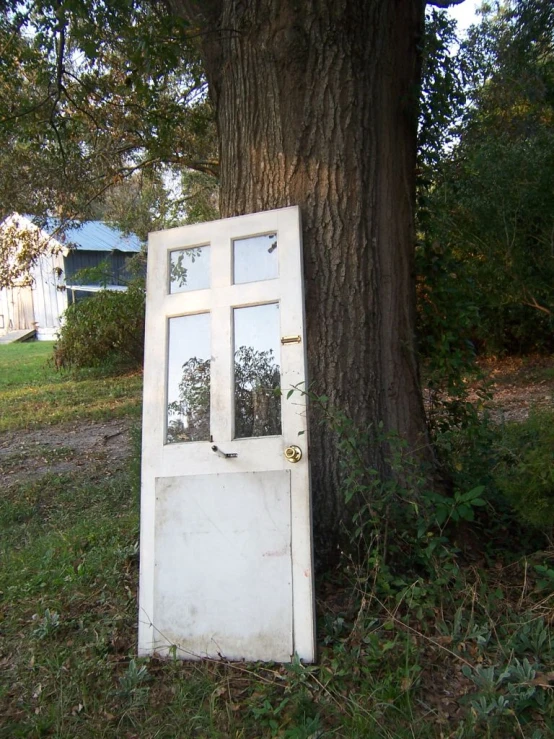 an old door sitting against a tree