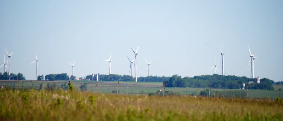 there are wind mills that are in the grass