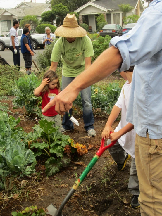 several people tend to garden plants in an urban yard