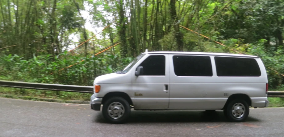 white vehicle traveling past green plants in the background