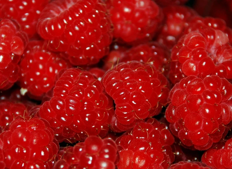 a close up of a pile of raspberries
