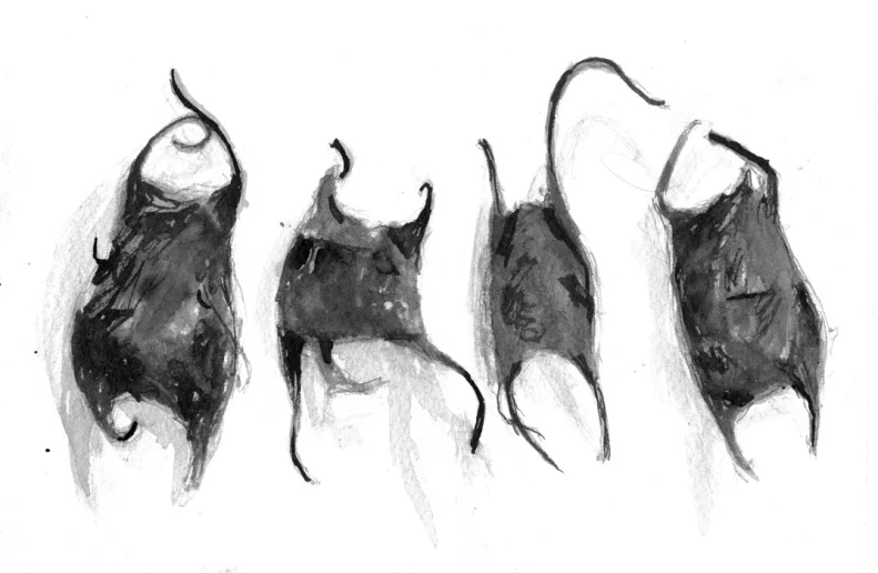 a pencil drawing of bats on paper