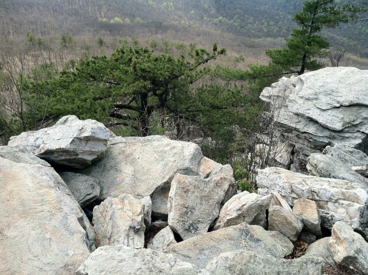 several rocks in a rocky area near a wooded hillside