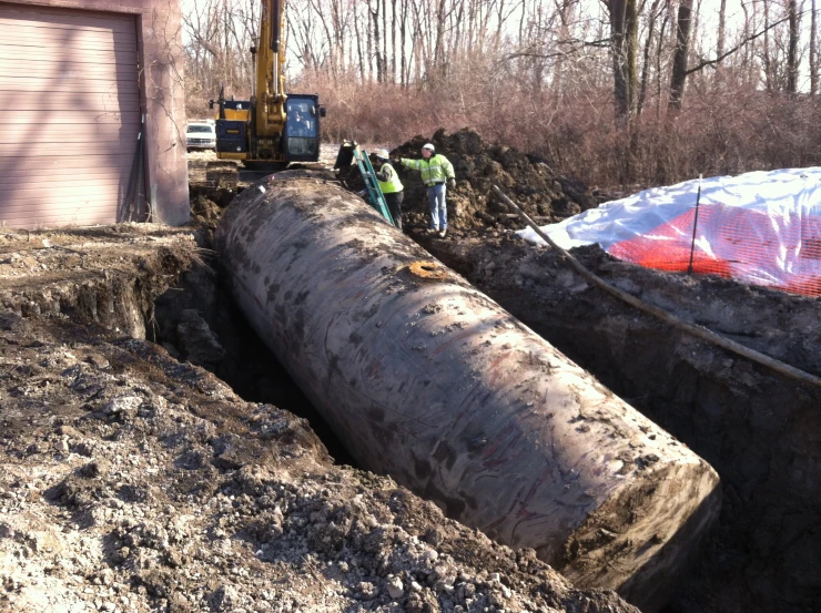 three people are looking at large logs being dug up