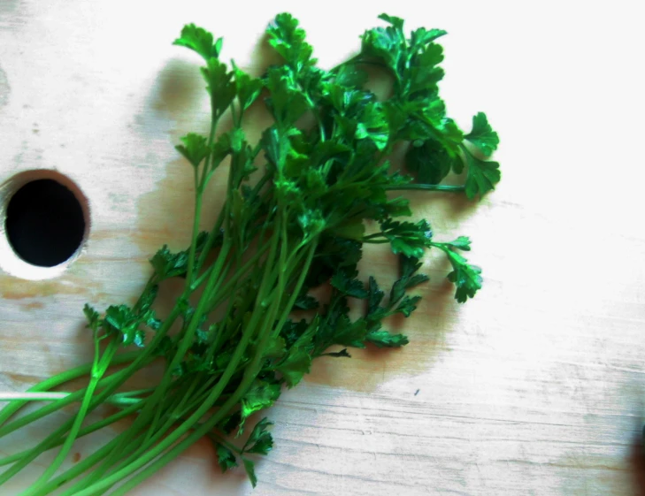 some fresh green parsley next to a spoon