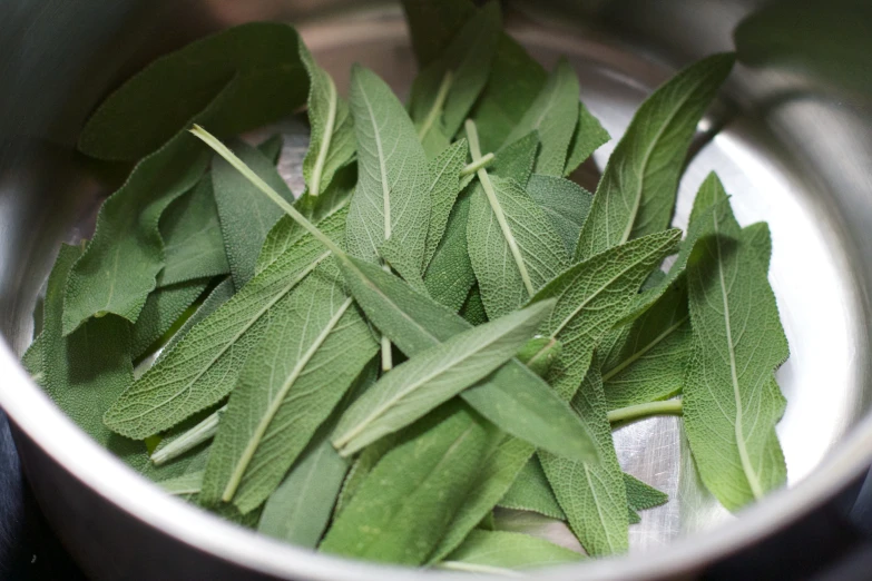 some green leaves floating in a silver bowl