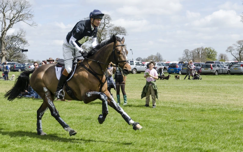 a jockey in white and black riding a brown horse