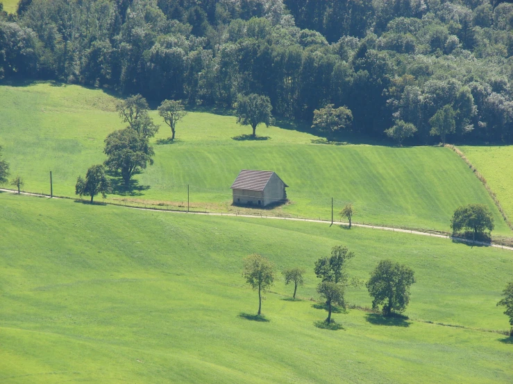 a house and some trees in the middle of a field