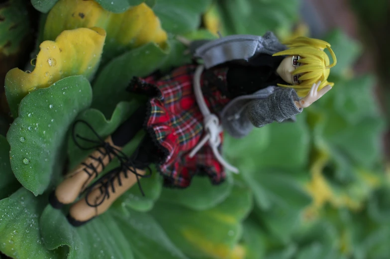 small toy doll on green leaves wearing red and black plaid