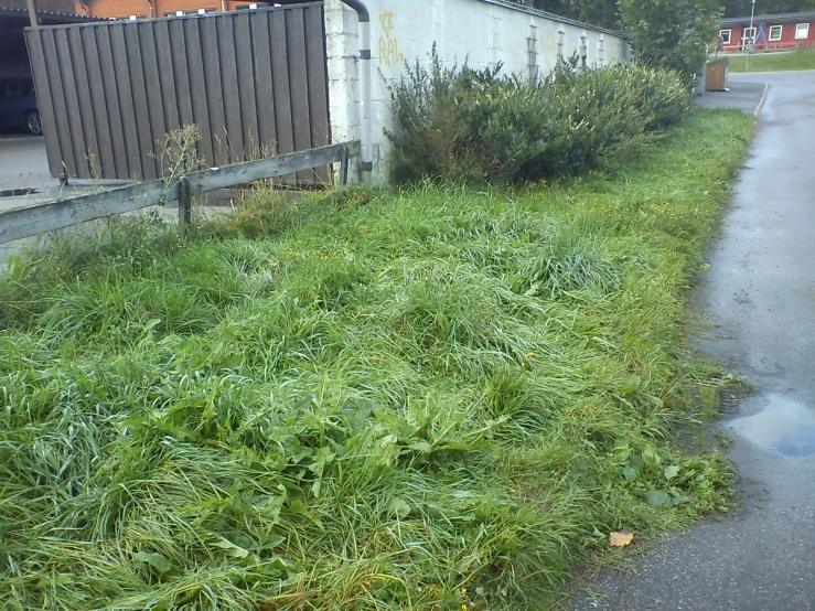 a sidewalk with a patch of grass on the side of it