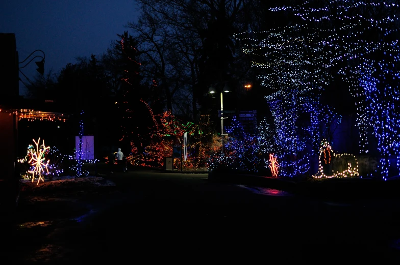 the trees are lit up in the dark