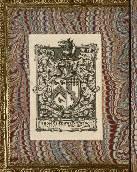 a fancy wall paper with a shield and crest on it